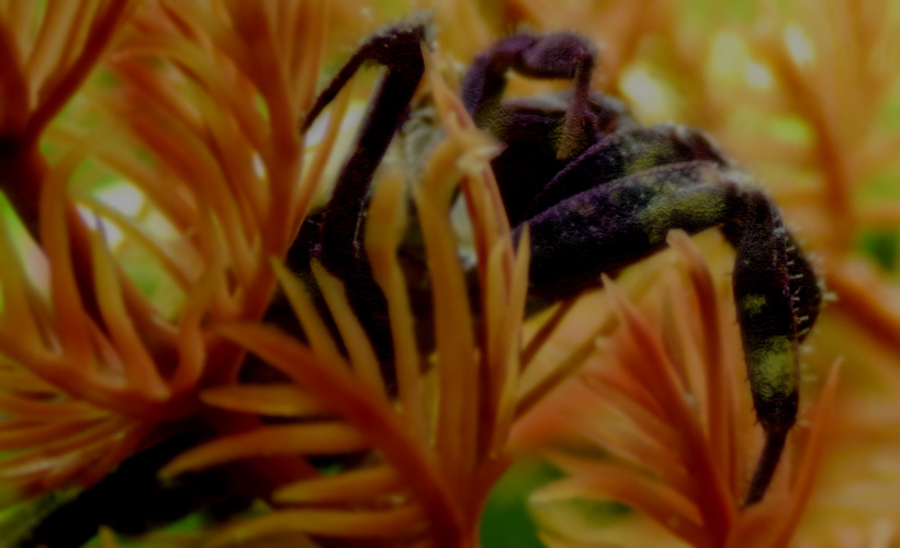 . . . something stirs